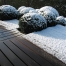 Terrasse en bois, Pin des Landes, massif de buis boules, Buxus sempervirens sous la neige